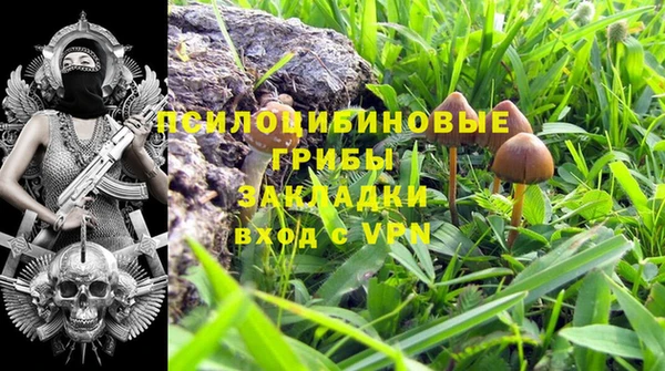 кокаин Алексеевка
