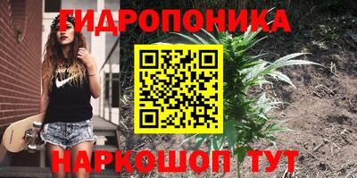 амфетамин Бердск
