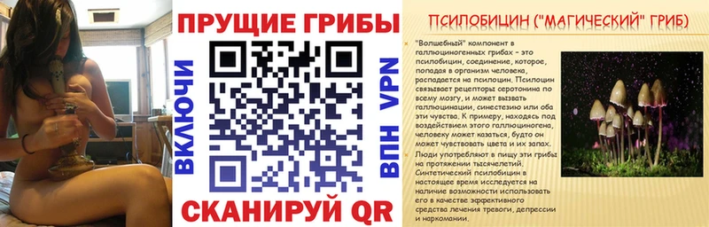 Галлюциногенные грибы прущие грибы  купить  цена  Усть-Лабинск 