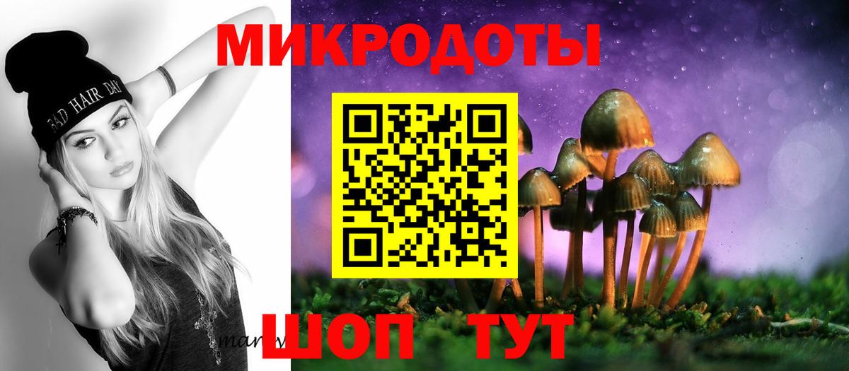 Псилоцибиновые грибы Psilocybe Усть-Лабинск